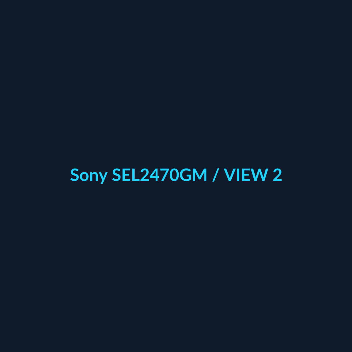 Sony SEL2470GM - vista 2 - DEALBYTE