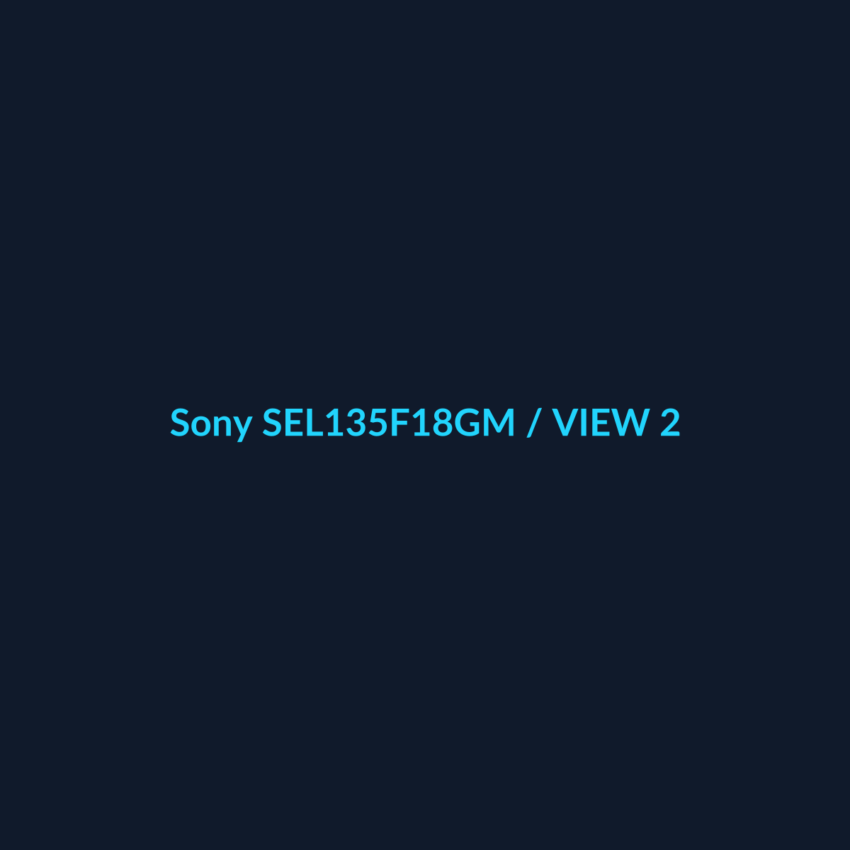 Sony SEL135F18GM - vista 2 - DEALBYTE