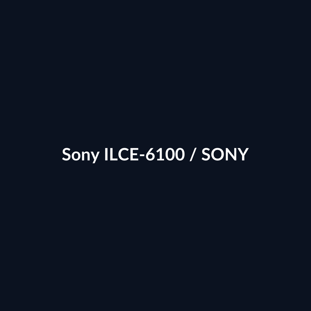 Sony ILCE-6100 - Sony - DEALBYTE